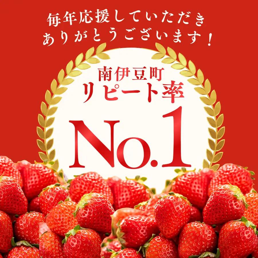 【2027年発送予定】いちご 完熟冷凍いちご 2kg