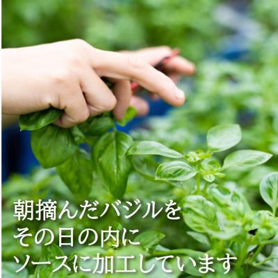 ふるさと納税 日高町 濃厚・無添加　バジルソース(ジェノベーゼソース)　瓶　100g×5本 |  | 02