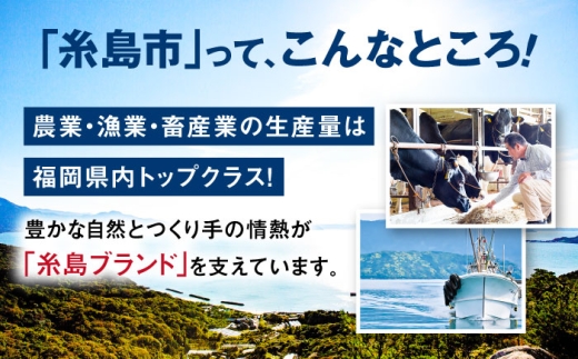 【2026年10月配送】ZitA SQUARE用キャスター 4個セット 糸島市 / 株式会社さくらドーム [AIR003-2610]