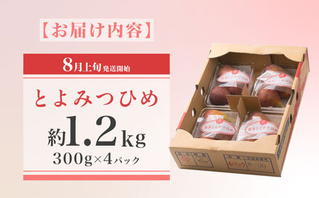 【2025年8月上旬より順次発送】福岡産ブランド無花果 とよみつひめ 約300g×4パック 吉富町/南国フルーツ株式会社[BGAG012]