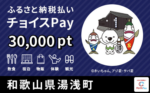 
宿泊・食事・買物などに使える！湯浅町 チョイスPay 30,000ポイント【会員限定のお礼の品】
