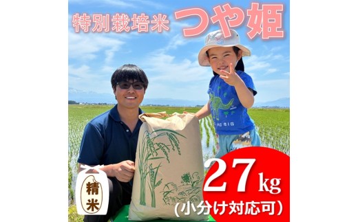 【令和8年産・精米】ecofarmすがわらの特別栽培米つや姫27kg　※10月下旬ごろから順次発送開始