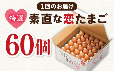 【全6回定期便】特選素直な恋たまご60個入りギフト [JAP004] たまご 60個  鶏卵 玉子 大容量 ギフト 国産 もみじ 卵かけご飯 たまごかけご飯 すき焼き 目玉焼き 66000 66000
