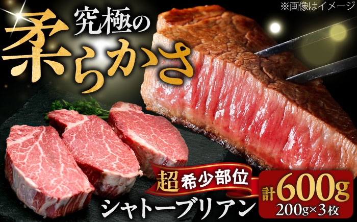 
                  【希少部位！】博多和牛 シャトーブリアン 200g×3枚 （計600g）吉富町/肉のくまもと屋 [BGBY043]
                