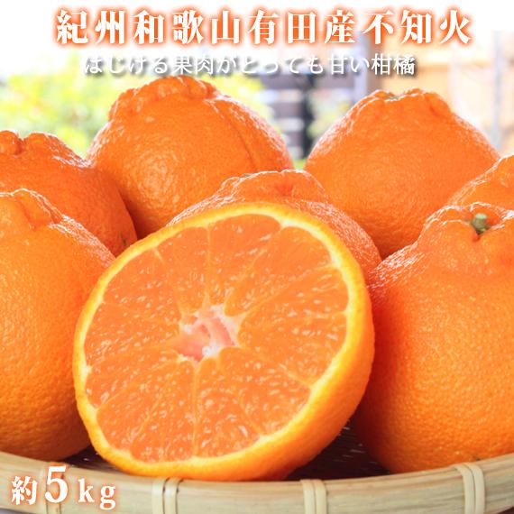 【ふるさと納税】紀州有田産不知火(しらぬひ) 約5kg［2026年2月中旬以降発送］［先行予約］［UT40w］ | 先行予約 和歌山 果物 くだもの フルーツ 柑橘 不知火 しらぬい ブランド 取り寄せ ご当地 期間限定