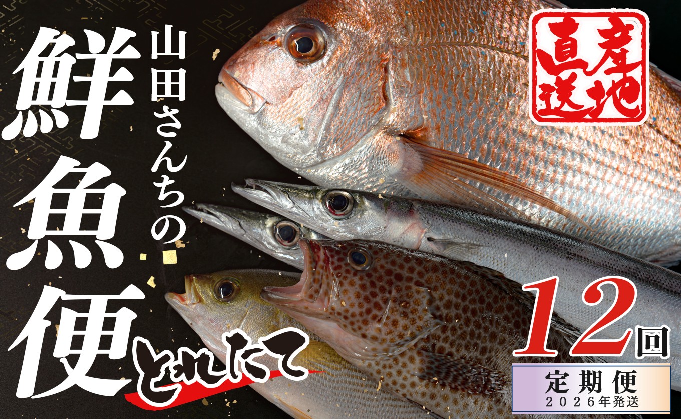 
            【定期便12回】山田さんちの鮮魚便
          