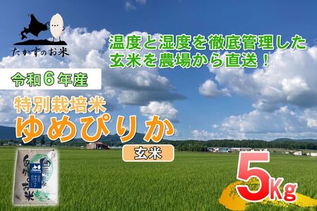 【令和7年産】 ゆめぴりか (玄米) 北海道 米 を代表する人気の品種 5kg 【2025年10月上旬発送開始】 北海道 鷹栖町 たかすのお米 米 コメ