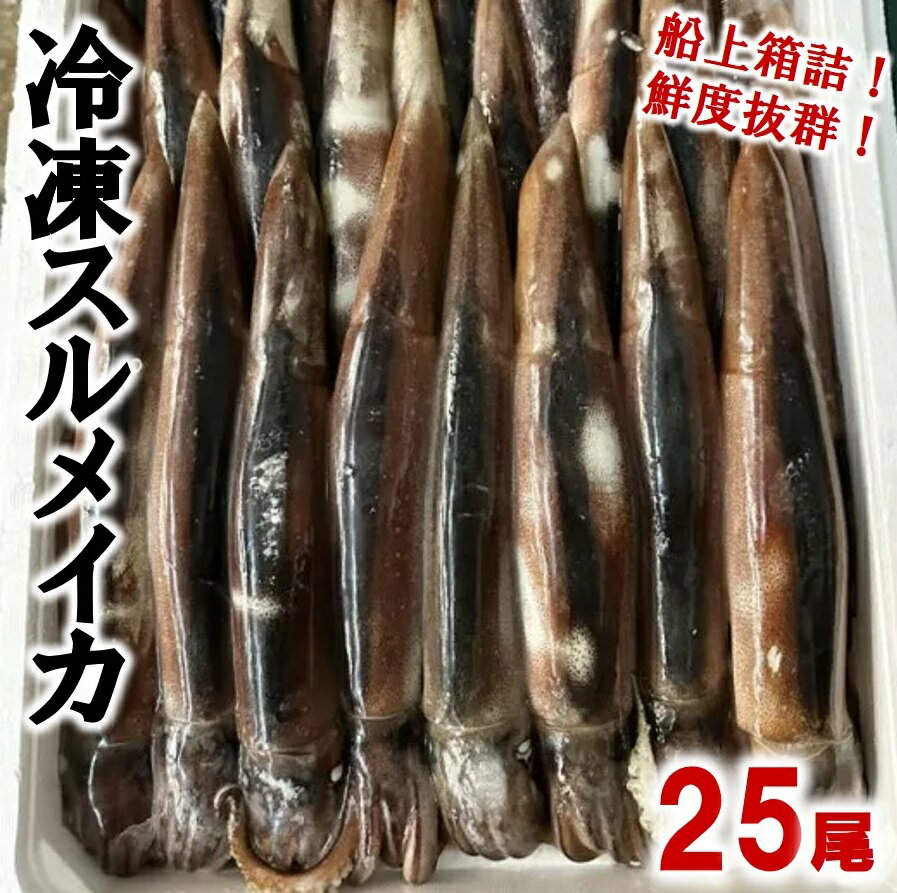 【ふるさと納税】 いか イカ 冷凍スルメイカ 中サイズ 25尾入り 鮮度抜群！ スルメイカ 魚介 海鮮 海の幸 新鮮 鮮度抜群 刺身 塩辛 イカフライ 煮物 姿焼き げそ イカゲソ いかめし イカ焼き いか天 焼き物 天ぷら