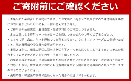 和歌山産 たねなし柿 5kg