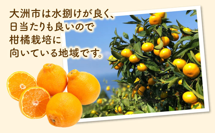 果実そのままの味わい！不知火100％ジュース 720ml×4本　愛媛県大洲市/玉川農園 [AGBC001]みかん オレンジ フルーツ ミカン 果物 かき氷 みかんジュース 愛媛みかん こたつ みきゃん