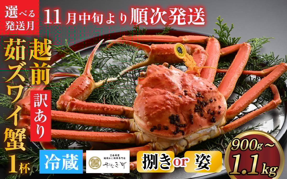 
            【先行予約】[捌き済選択可][到着日指定可]【訳あり】蟹好きが唸る老舗カニ料理店の越前茹ズワイ蟹 大サイズ(900g～1.1ｋg)1杯【11月中旬より順次発送】 [L-085031]
          