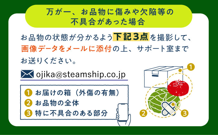 【8月～10月先行受付】【冬季初回発送】小値賀島で育った新鮮野菜おまかせセット　冬季1回・夏季1回お届け [DAB081]