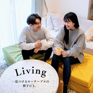 TOKURI-EXコンパクトマットレス(ミドルサイズ)【ブラウン】