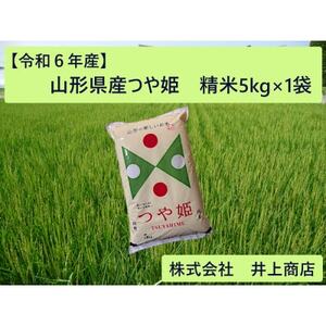 令和6年産山形県産　つや姫　精米5kg×1袋【1614324】