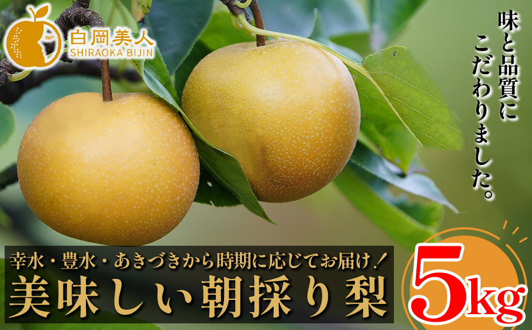 白岡　細田果樹園　味と品質こだわりの梨　5kg　【11246-0351】