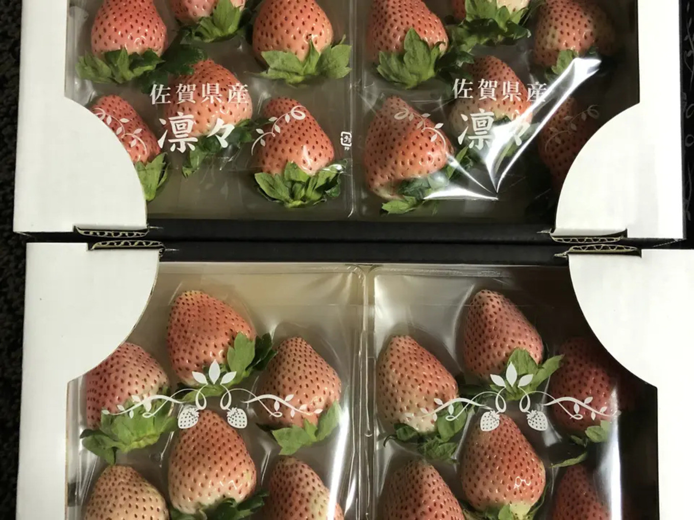 画像はイメージです。