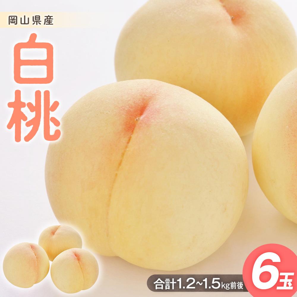 【ふるさと納税】桃 2026年 白桃 6玉入り 合計1.2～1.5kg前後 もも モモ 岡山県産 国産 フルーツ 果物 ギフト | もも フルーツ 果物 くだもの 食品 人気 おすすめ 送料無料