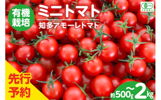 
                  【先行予約】《11月中旬以降発送開始》有機栽培ミニトマト 知多アモーレトマト【選べる容量500g～約2kg】 | とまと 野菜 高糖度 愛知県 特産品 知多市
                