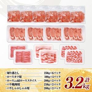 宮崎県産豚肉5種　3.2kg 【 豚肉 ぶた肉 肉 ロース バラ 切り落とし ミンチ 焼肉用 しゃぶしゃぶ 豚肉セット 】