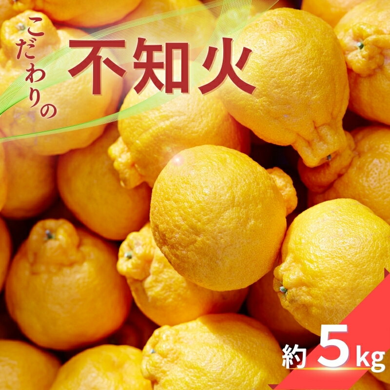 【ふるさと納税】 こだわりの 不知火 約5kg 有機質肥料100% 農家直送 光センサー選別 【2026年2月中旬より順次発送予定（お届け日指定不可）】 不知火 みかん ミカン 柑橘 フルーツ 果物 くだもの 人気 旬 産地直送