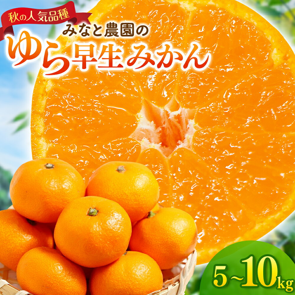 【ふるさと納税】 【数量限定】みなと農園のゆら早生みかん 5kg 10kg 2S～Lサイズ混合 選べる容量 由良早生 みかん ミカン 蜜柑 温州みかん 温州ミカン 柑橘 mikan フルーツ 果物 くだもの 早生 甘い 旬 人気 産地直送 三重県 熊野市 送料無料【2026年10月中旬頃〜順次発送】