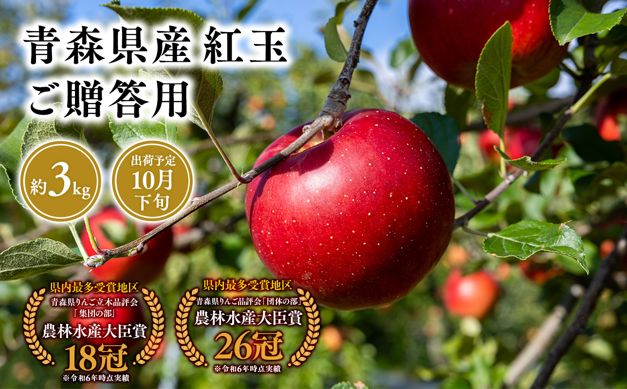 2026年産１０月発送　贈答用紅玉3kg【青森県 平川市 そと川りんご園】