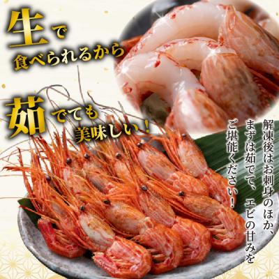 ふるさと納税 苫前町 【数量限定】北海道苫前産 シマエビ 1kg(500g×2) しまえび 縞海老 えび kit13 |  | 01
