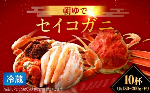 【先行予約/11月7日より順次発送】朝ゆで 国産 セイコガニ 10杯 かに 蟹 カニ せいこがに セイコ蟹  【配送不可地域：北海道・沖縄・離島】  [BFAA005]