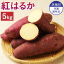 【ふるさと納税】茨城県産 さつまいも 紅はるか 5kg 約18～20本 茨城県共通返礼品 水戸市 ひたちなか市 鹿嶋市 行方市 大洗町 芋 いも 神栖市 送料無料【2024年10月下旬発送開始】