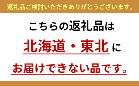 いちご かおりの苺 280g×2パック 早期受付 配送不可 北海道 東北 果物類 フルーツ おやつ デザート 食後 上品な香り 酸味が少ない 産地直送 国産 