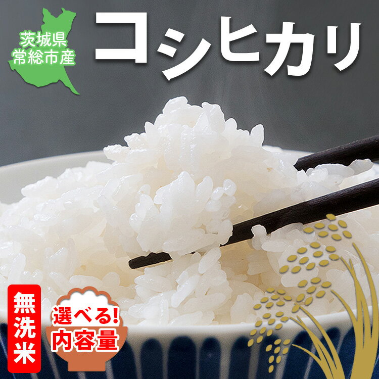 【ふるさと納税】＼選べる内容量／【令和7年産】【無洗米】コシヒカリ 茨城県常総市産 精米｜米 お米 白米 ご飯 コメ こめ こしひかり 年末年始 お中元 お歳暮 内祝い 快気祝い