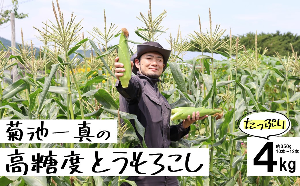 
            【先行予約】 菊池一真の 高糖度 とうもろこし ゴールドラッシュ 約 4kg （ Lサイズ 10~12本） 農家直送【2025年7月下旬頃発送予定】日付指定不可
          