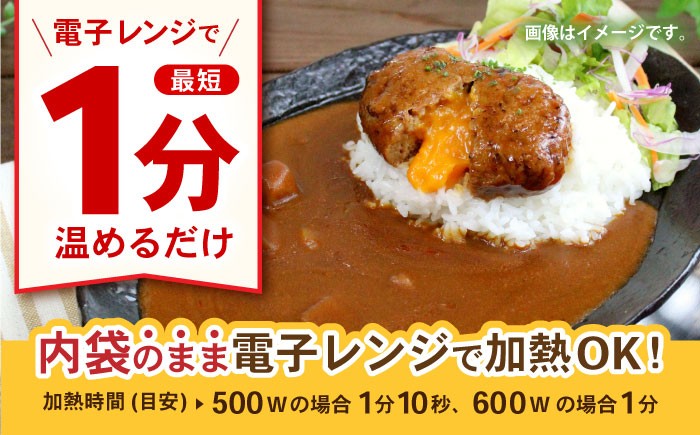 【小分け】日本ハム レストラン仕様カレー中辛10パックセット(1パック4袋入り)計40食分