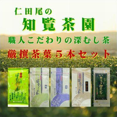 ふるさと納税 南九州市 知覧茶園深むし茶 厳撰茶葉5本セット