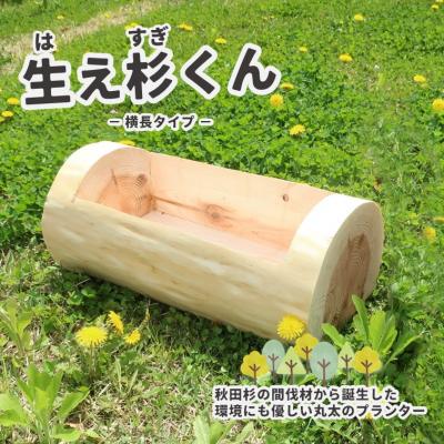 ふるさと納税 能代市 秋田杉の丸太プランター「生え杉くん(はえすぎくん)」横長タイプ[No.5335-0257]