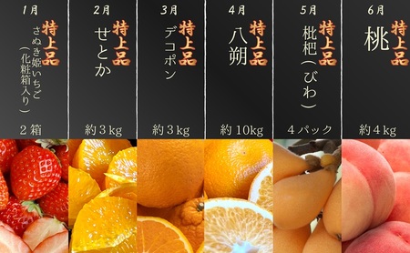 フルーツ定期便 プレミアム等級 苺 葡萄 桃 梨 柿 フルーツ定期便【12ヶ月連続】