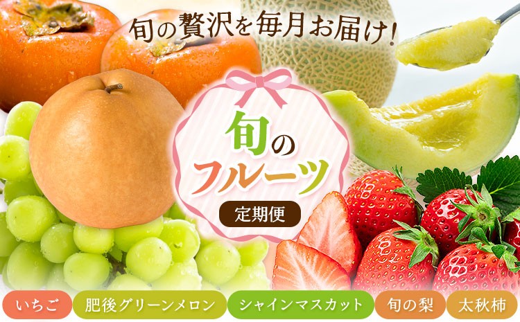 
                  【5回定期便】旬のフルーツ定期便 いちご メロン 梨 シャインマスカット 柿 日本フルーツ株式会社《2027年1月中旬-11月中旬頃出荷》熊本県 菊池市 果物 くだもの フルーツ デザート
                