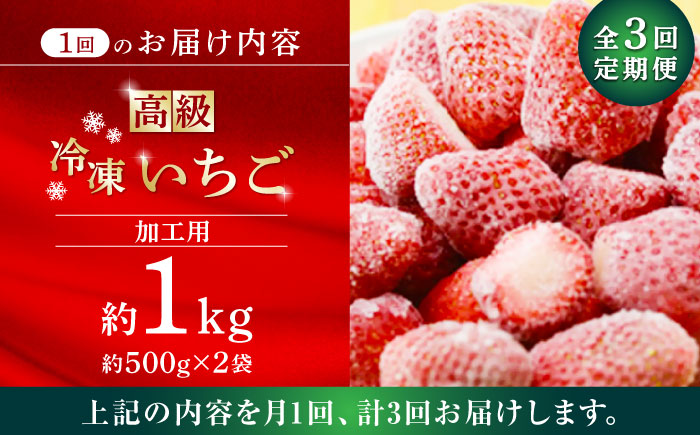 【3回定期便】【数量限定】高級 冷凍  いちご 加工用 約1kg（約500g×2袋）【伊藤農園】 恋みのり 冷凍 いちご 冷凍いちご 加工用  [ZBB015]
