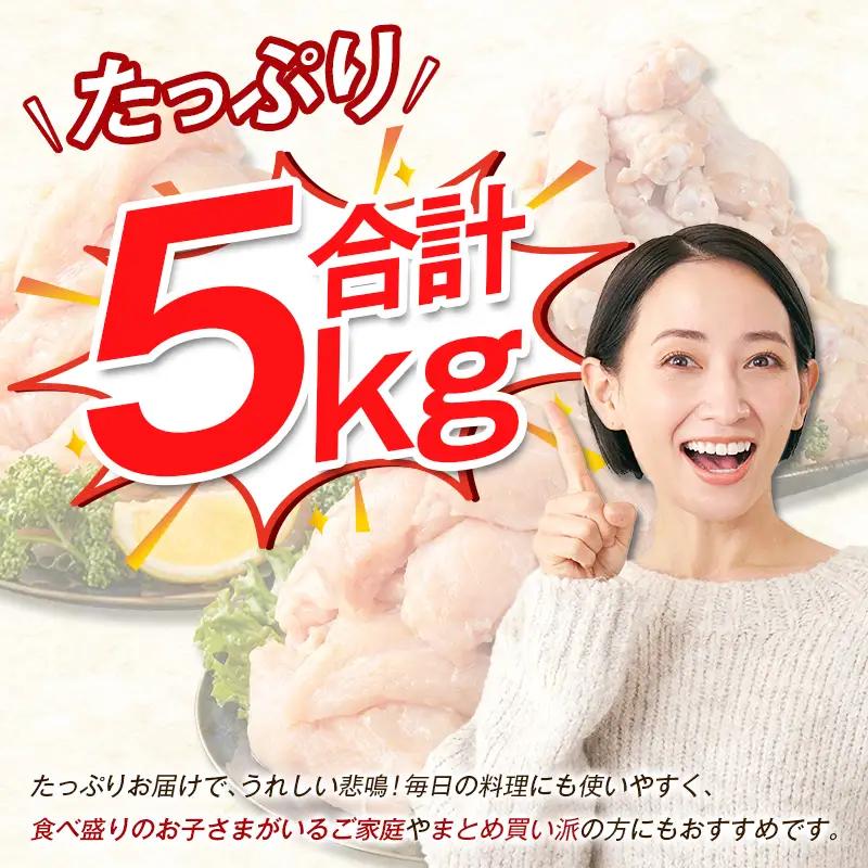 宮崎県産 若鶏5kgセット 鳥肉 もも肉 1kg むね肉 2kg ささみ 1kg 手羽元1kg【B320-2604】