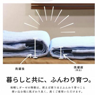 ふるさと納税 蒲郡市 三河産　綿100%和晒し脱脂綿　敷パット　Sサイズ_きなり_【G0496】 |  | 02