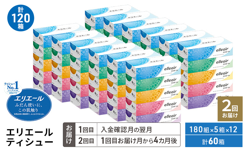 【2回お届け 計120箱】エリエール ティシュー 180組5箱 12パック ティッシュペーパー 箱ティッシュ ボックスティッシュ 紙 まとめ買い 防災 常備品 備蓄品 消耗品 日用品 生活必需品 送料無料 赤平市 ストック 