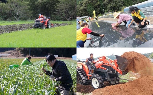 有機葉ニンニクと四万十豚で作った最高級餃子（4パック4人前）完全無添加