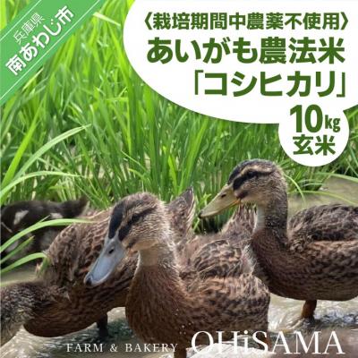 ふるさと納税 南あわじ市 令和7年産　コシヒカリ　10Kg(5kg×2)　玄米　栽培期間中農薬不使用　あいがも農法米