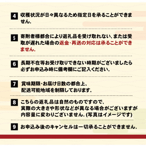 先行予約 早採り生わかめ 1.6kg(200g×8) わかめ