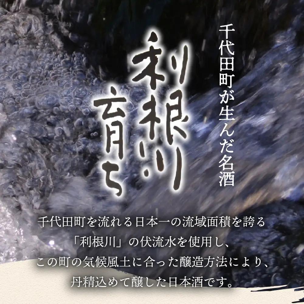 日本酒 清酒 【利根川育ち】 地酒 セット 群馬県 千代田町 ＜山川酒造＞ ※沖縄・離島地域へのお届け不可