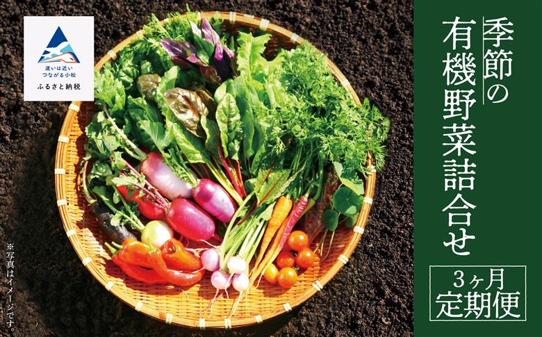 有機野菜詰合せ 3ヵ月 定期便 【西田農園】季節野菜 オーガニック野菜 セット 詰め合わせ 旬 3か月 3ヶ月 3回 石川県 小松市 北陸