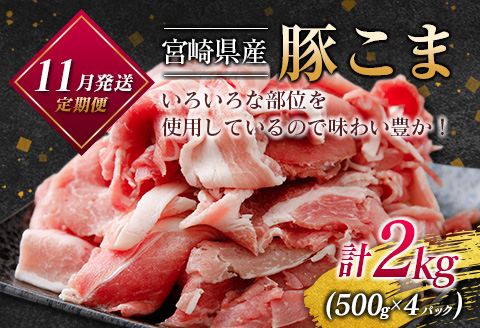 ［50セット限定］こゆ牛・豚・鶏バラエティ3ヵ月定期便（ファミリーパック）※2026年10月配送開始【E141-04】