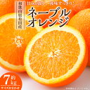 【ふるさと納税】【限定】 ネーブル 約7kg 和歌山県有田産 春みかん (果実サイズおまかせ) 春みかん 紀伊国屋文左衛門本舗