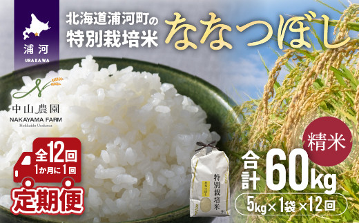 
【令和5年産】北海道浦河町の特別栽培米「ななつぼし」精米(5kg×1袋)定期便(全12回)[37-1221]
