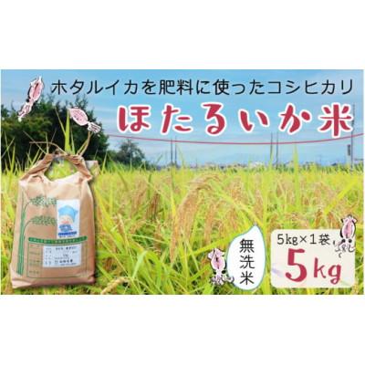ふるさと納税 滑川市 【ほたるいか米】無洗米　5kg